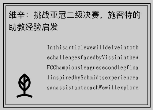 维辛：挑战亚冠二级决赛，施密特的助教经验启发